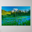 Search for washington state parks posters Volcano