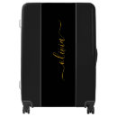 Search for wedding luggage Chic