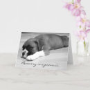 Search for get better soon cards Pet