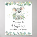 Search for koala baby shower Australian animals