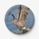 Search for bird paper plates Country