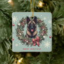 Search for belgian malinois ornaments Dog