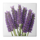 Search for lavender tiles Botanical