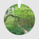 Search for olympic national park ornaments Landscape