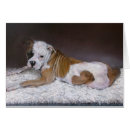 Search for american bulldog Brindle