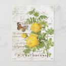 Search for vintage botanical postcards Butterfly