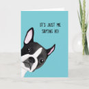 Search for boston terrier cards Cute