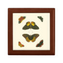 Search for butterfly gift boxes White