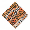 Search for cat clothes Modern