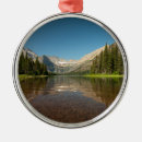 Search for glacier national park ornaments Reflection