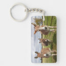Search for donkey keychains Farm