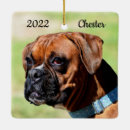 Search for white boxer ornaments Pet