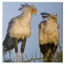 Search for secretary gifts Africa