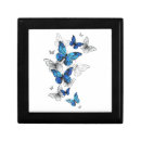 Search for flying butterflies gift boxes Butterfly