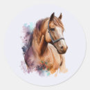 Search for leather stickers Brown