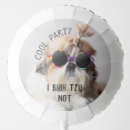 Search for dog balloons Funny