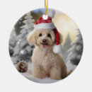 Search for poodle ornaments Dog