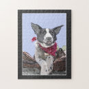 Search for border collie puzzles Pets