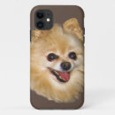 Search for pomeranian iphone cases Pets