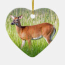 Search for deer hunting ornaments Outdoorsman