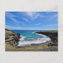 Search for green postcards Ocean