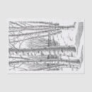 Search for birch trees tissue paper Winter