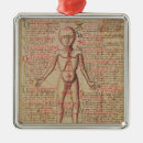 Search for anatomy ornaments Medicine