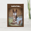 Search for 70th birthday wishes Funny