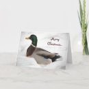 Search for duck christmas cards Animals