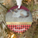 Search for tortoiseshell cat ornaments Feline