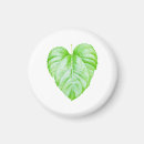 Search for eco friendly magnets Cute