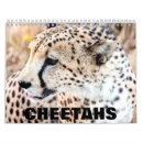 Search for cheetah calendars Wildlife