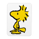 Search for kitchen accessories Charlie brown