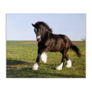 Search for draft horse art Equine