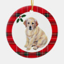 Search for yellow lab ornaments Cute dog