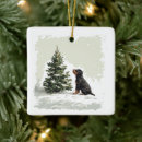 Search for rottweiler ornaments Pet lover