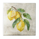 Search for lemon gifts Farmhouse