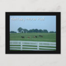 Search for horse postcards Nature