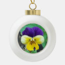 Search for purple ornaments Pretty