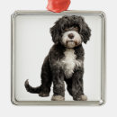 Search for black and white dog ornaments Water