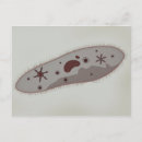 Search for microbiology gifts Organism