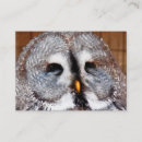 Search for owl business cards Watercolor
