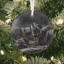 Search for wolf ornaments Wildlife