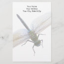 Search for dragonfly stationery paper Insect