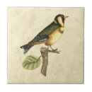 Search for bird tiles Domestic