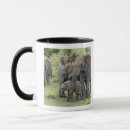 Search for elephant mugs Tanzania