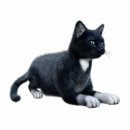 Search for black cat photo statuettes Pet