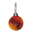 Search for moon pet tags Astronomy