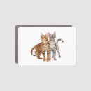 Search for funny cat bumper stickers Crazy cat lady