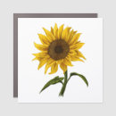 Search for sunflower magnets Sunshine